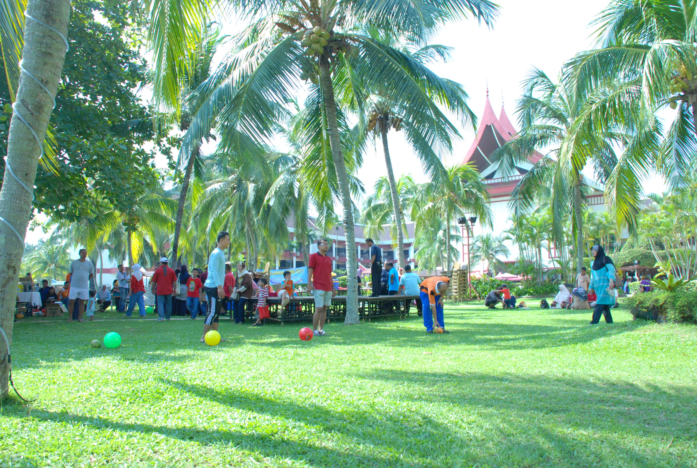 DSC 0729